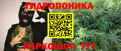кокс Кимры