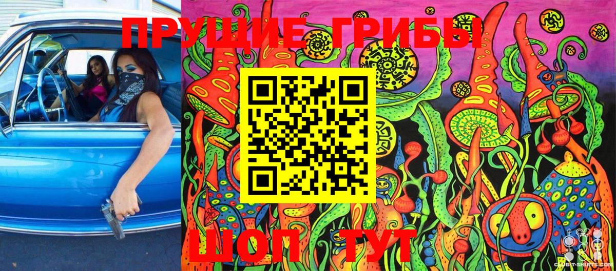 Псилоцибиновые грибы Psilocybine cubensis  Вход с VPN  Щёлково  Псилоцибиновые грибы MAGIC MUSHROOMS 