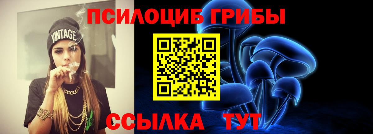 Псилоцибиновые грибы ЛСД Щёлково